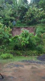 Hujan Lebat, Longsorkan Bahu Jalan Desa