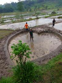 POKDARWIS KAMPUNG EMAS BUKA WAHANA EDUKASI PERTANIAN DAN OUT BOND