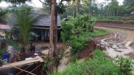 TANGGUL SAWAH JEBOL, AIR MASUK KE RUMAH WARGA