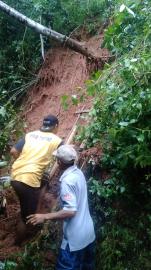 HUJAN DERAS DAN ANGIN KENCANG SEBABKAN POHON TUMBANG DAN LONGSOR