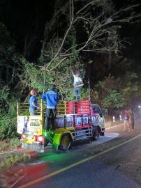 FPRB KALURAHAN PUTAT MENGEVAKUASI POHON YANG ROBOH