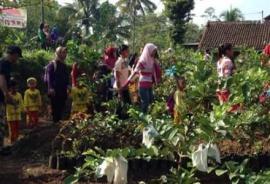 WISATA PENDIDIKAN EPISODE JAMBU KRISTAL